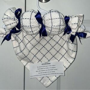 kitchen dish cloth bikini